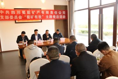 蜀能礦產(chǎn)開(kāi)展4月主題黨日活動(dòng)