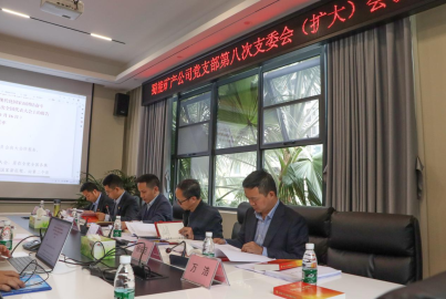 蜀能礦產(chǎn)召開2022年第8次支部委員會（擴大）會議