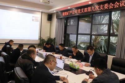 蜀能礦產(chǎn)召開2022年第9次支部委員會會議