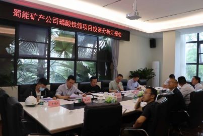 蜀能礦產(chǎn)公司召開磷酸鐵鋰項目投資分析匯報會