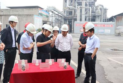 新材料集團參觀調(diào)研馬邊工業(yè)項目
